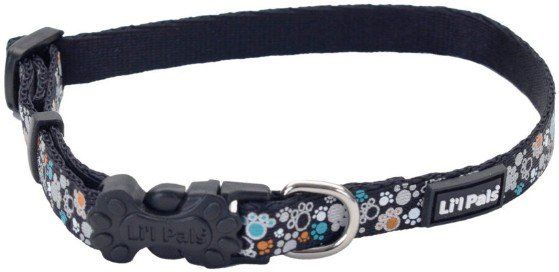 Lil Pals Reflective Collar Teal and Orange Paws (Option: 6-8"L x 3/8"W Lil Pals Reflective Collar Teal and Orange Paws)