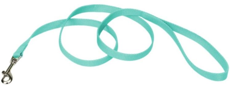 Coastal Pet Single-ply Teal Nylon Dog Lead (Option: 4 feet x 5/8"W Coastal Pet Single-ply Teal Nylon Dog Lead)