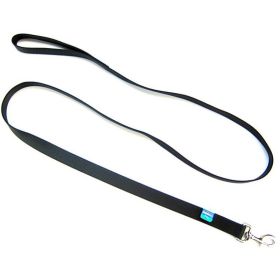 Coastal Pet Single Nylon Lead Black (Option: 6 feet x 1"W Coastal Pet Single Nylon Lead Black)