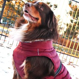 Alpine Extreme Weather Puffer Coat (Color: Burgundy, size: X-Small)