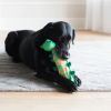 Fat Cat Water Bottle Crunchers Dog Toys Assorted Styles