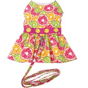 Citrus Slice Dog Dress with Matching Leash (Color: , size: X-Large)