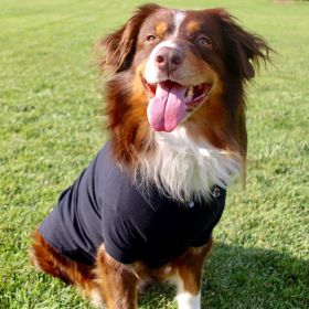 Solid Dog Polo (Color: Jet Black, size: X-Large)