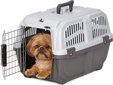 MidWest Skudo Travel Carrier Gray Plastic Dog Carrier (Option: Small - 1 count MidWest Skudo Travel Carrier Gray Plastic Dog Carrier)