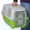 MidWest Spree Plastic Door Travel Carrier Green Pet Kennel