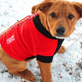 Highline Fleece Dog Coat (Color: Red and Black with Rolling Bones, size: Size 12LC)