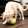KONG Tennis Rewards Treat Dispenser Small Dog Toy