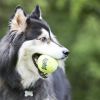 KONG Air Dog Squeaker Tennis Balls Large Dog Toy