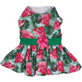 Juicy Watermelon Dog Dress with Matching Leash (Color: , size: X-Small)