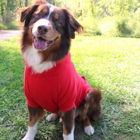 Flex-Fit Dog Hoodie (Color: Red, size: small)