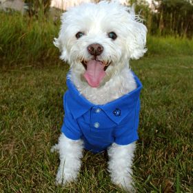 Solid Dog Polo (Color: Nautical Blue, size: small)