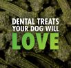 Sergeants Minties Dental Treats for Dogs Medium Large