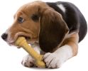 Nylabone Dura Chew Bone Peanut Butter Flavor